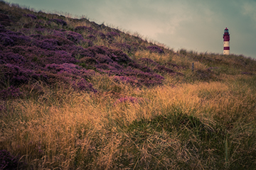 natur